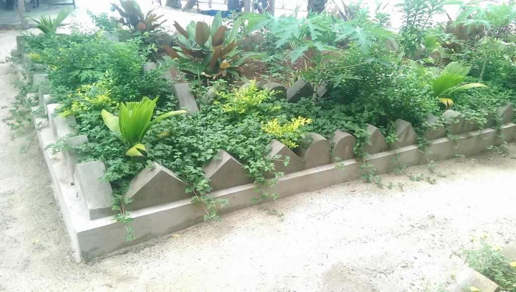 Union Beach Bungalow 南威 外观 照片